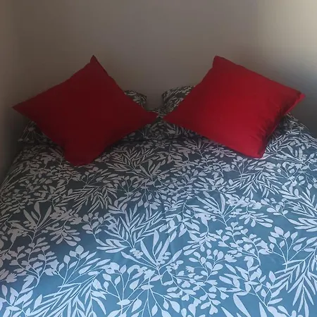 Apartment F1 Cozy & Stylish In Hyper-centre Nice